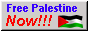 button saying 'Free Palestine NOW!!!' with a waving Palestinian flag and a gray background